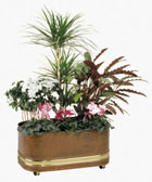 Rectangular flower box. Mis: 500x220x200h. mm.
